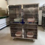 Pet Hospital Inpatient Cage, Stainless Steel Pet Cage, Constant Temperature Oxygen Storage Cage, Pet Cat Cage, Thickened Medium And Large Dog Cage - Image 4